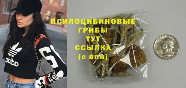 прущие крисы Бородино
