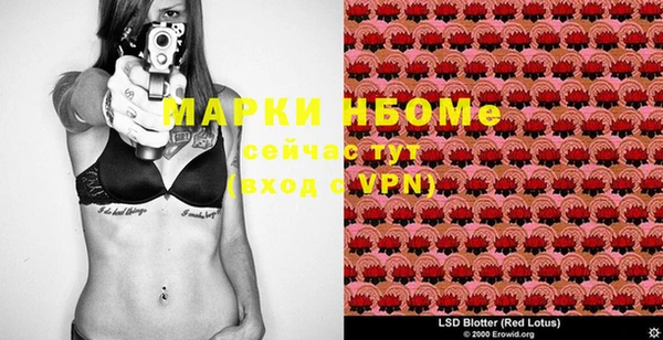 прущие крисы Бородино