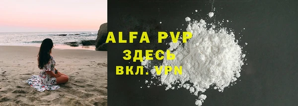 эйфоретик Богданович