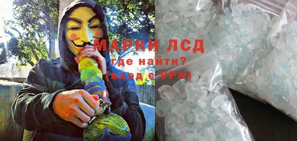PSILOCYBIN Бугульма