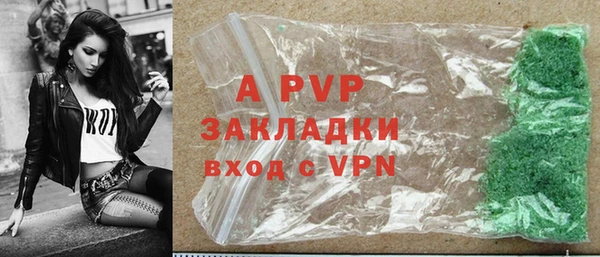 эйфоретик Богданович