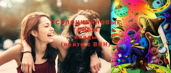 амф Бронницы