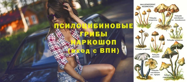 эйфоретик Богданович