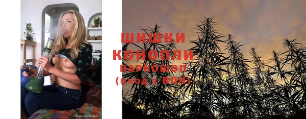амф Богородск