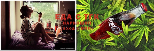 прущие крисы Бородино