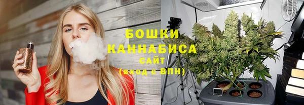 амф Богородицк