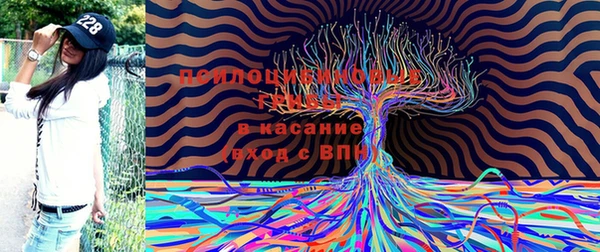 эйфоретик Богданович