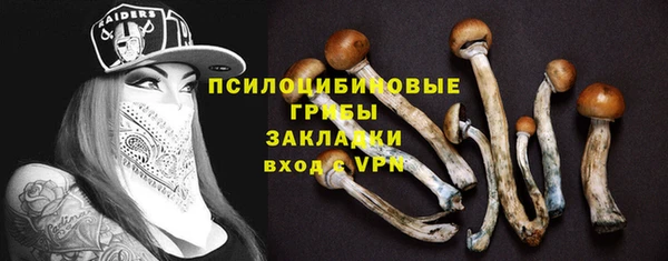 эйфоретик Богданович
