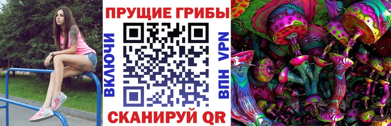 Галлюциногенные грибы Psilocybe Высоцк