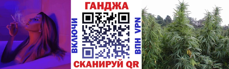Бошки марихуана план  купить закладку  ссылка на мегу ссылки  Высоцк 